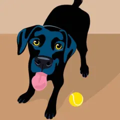 $product['description']['title']}