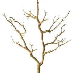 3ft. Bare Birch Branch by Ashland&reg;