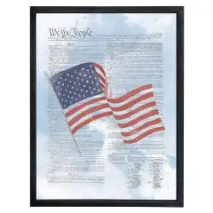 24" Flag Constitution Framed Print Black Frame