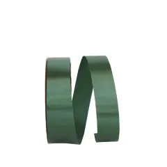 JAM Paper 3/8" x 100yd. Single Face Satin Allure Ribbon Hunter