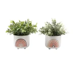 Flora Bunda&reg; 9" Eucalyptus & Tea Leaf Plants in Footed Ceramic Rainbow Planter Set