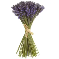 9" Lavender Bundle