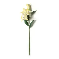 Casablanca Lily Stem by Ashland&reg; White