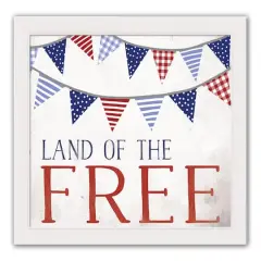 Land of the Free White Framed Print Under Plexiglass