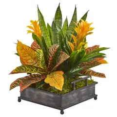 18" Bromeliad, Croton & Snake Plant in Decorative Tray 