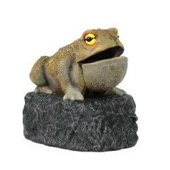 11.25" LED Animated Croaking Toad by Ashland&reg;