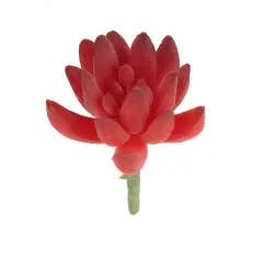 Flora Bunda&reg; Red Small Little Gem Succulent Pick, 12ct.