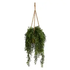 4.5ft. Honey Locust Plant Hanging Basket