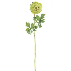 23" Green Ranunculus Artificial Stem, 4ct.