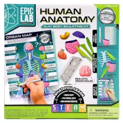 ArtSkills&reg; Epic Lab Human Anatomy STEM Kit