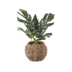 Flora Bunda&reg; 6" Split Leaf In Basket