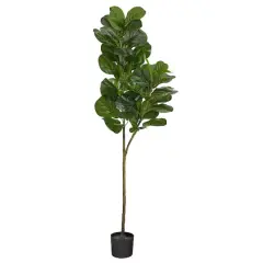 4.5ft. Potted Fiddle Leaf Fig Tree