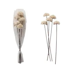 Hello Honey&reg; 23.5" Dried Natural Sesame Flower Stems, 5ct. Cream