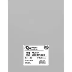 PA Paper&trade; Accents Muslin 8.5" x 11" 74lb. Cardstock, 25 Sheets Hurricane