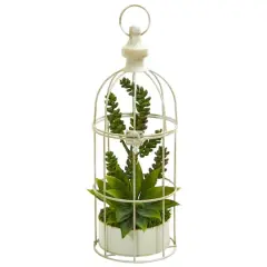 16" Succulent Garden Plant in Birdcage