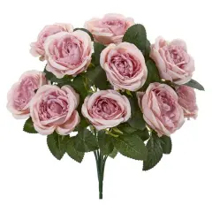 Pink Rose Bush, 6ct.