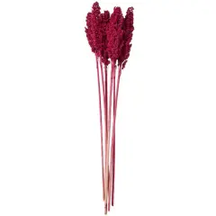 Dried Corn Maize Natural Foliage with Long Stems Pink
