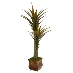5ft. Green Yucca Tree in Decorative Planter