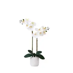 26" Artificial Real Touch White Double Orchid Phalaenopsis with Decorative Vase