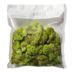 Ashland&reg; Reindeer Moss Chartreuse