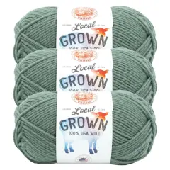 3 Pack Lion Brand&reg; Local Grown Yarn Sagebrush