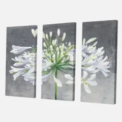 Designart - Flower Cleome Splash I - Traditional Floral Canvas Artwork