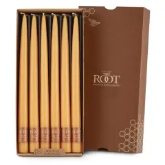 Root Candles 12" Unscented Taper Candles, 12ct. Mandarin