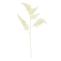 Cream Fern Stem by Ashland&reg;