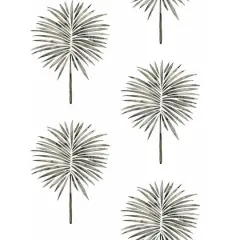 RoomMates Cat Coquillette Fun Fronds Peel & Stick Wallpaper Black/White