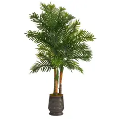 5.5ft. Areca Palm Tree in Ribbed Metal Planter