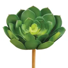 Soft Touch Green Echeveria Pick with Light Green Center