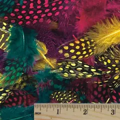 Color Splash!&reg; Dyed Feathers, 200ct.
