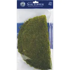 SuperMoss&reg; 12" Green Moss Pot Toppers