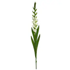 White Gladiolus Flower Stems, 3ct.