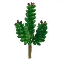 Flora Bunda&reg; Donkey Tail Succulent Pick, 12ct.