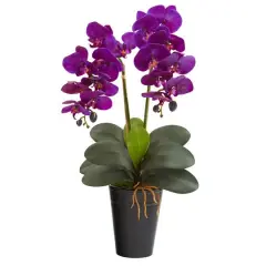 23" Double Orchid Arrangement In Vase Assorted