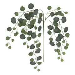 24" Round Eucalyptus Stem by Ashland&reg;