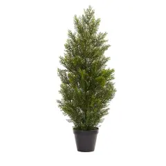 3ft. Potted Mini Cedar Pine Tree