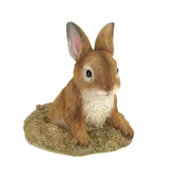 6" Curious Bunny Garden D&eacute;cor