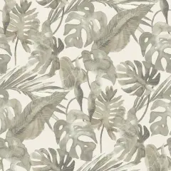 Tommy Bahama Falling Fronds Peel & Stick Wallpaper Dusk