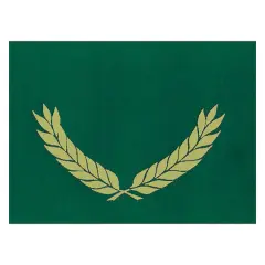 Hayes Gold Foil Stamped Certificate Folders Green and Gold