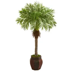 5ft. Robellini Palm Tree in Brown Decorative Planter