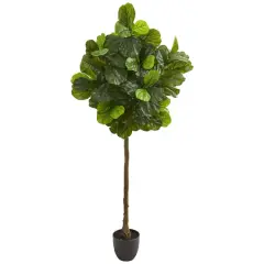 6ft. Potted Fiddle Leaf Tree