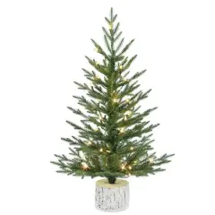 3ft. Pre-Lit Arctic Fir Artificial Potted Christmas Tree, Warm White LED Lights