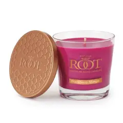 Root Candles 6.3oz. Small Scented Honeycomb Veriglass Jar Candle Blackberry Mango