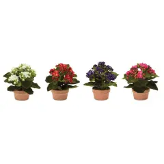 Faux Potted Kalanchoe Plant Set