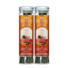 Scentsicles Spiced Pine Cones Scented Paper Stick Ornaments, 12ct.