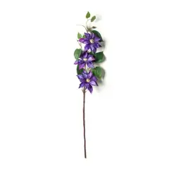 Purple Tropical Clematis Stem by Ashland&reg;