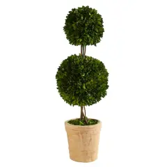 2.5ft. Boxwood Double Ball Topiary Tree in Cream Planter