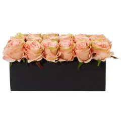 6'' Peach Roses in Black Planter